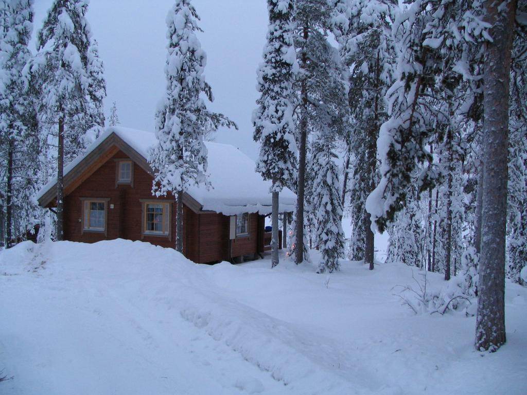 Ukonloma Haerkaelampi Villa Rovaniemi Eksteriør billede